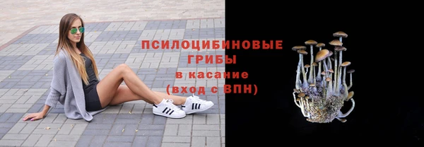 ALPHA PVP Алзамай