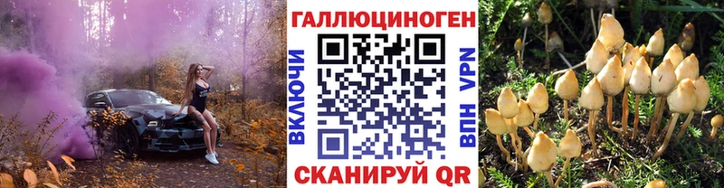 гидра рабочий сайт  Тамбов  shop как зайти  Галлюциногенные грибы Psilocybine cubensis 