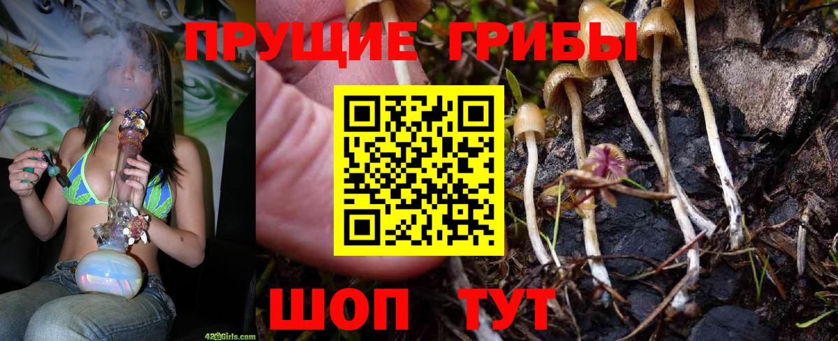 даркнет сайт  Псилоцибиновые грибы Psilocybe  Вход с VPN  Тамбов 