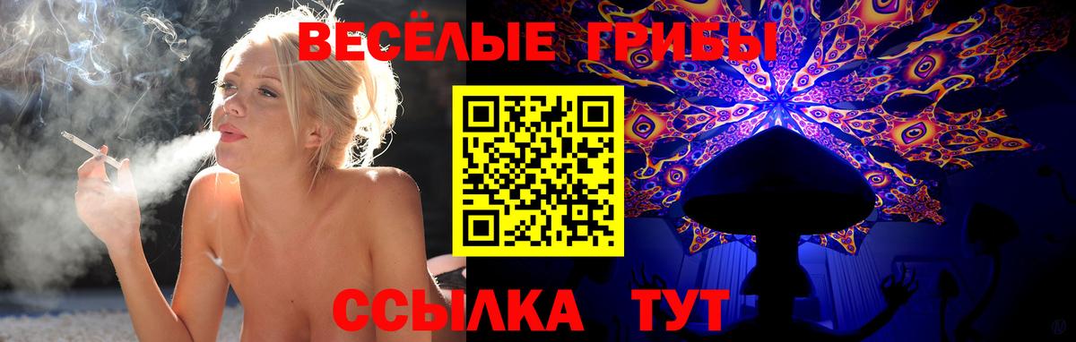 Псилоцибиновые грибы ЛСД Тамбов